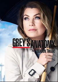 Grey's Anatomy SAISON 12