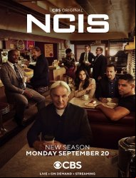 NCIS : Enquêtes spéciales SAISON 19