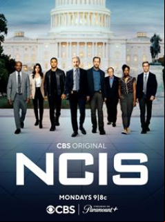 NCIS : Enquêtes spéciales SAISON 20